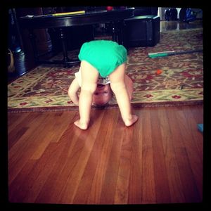 Image post by @kerrileewalsh on Instagram