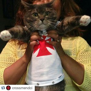 Image post by @crossmendci on Instagram