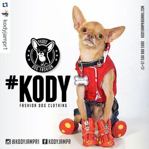 Image post by @nickyjam on Instagram