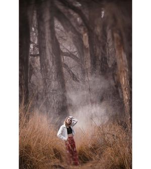 Image post by @fotodioxpro on Instagram