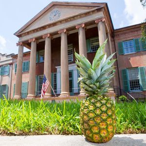 Image post by @collegeofcharleston on Instagram