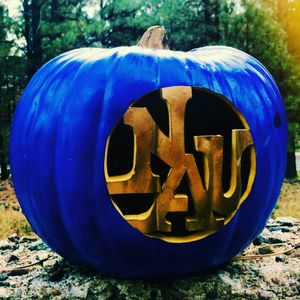Image post by @nauflagstaff on Instagram