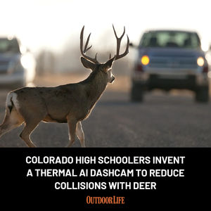 Image post by @outdoor_life on Instagram