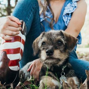 Image post by @nulopetfood on Instagram