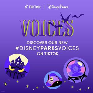 Image post by @disneyparks on Instagram