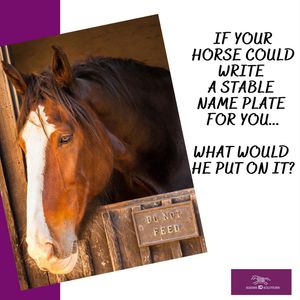 Image post by @equineidsolutions on Instagram