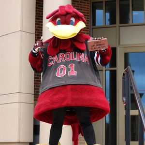 Image post by @uofscalumni on Instagram