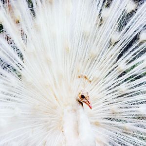 Image post by @discovery on Instagram