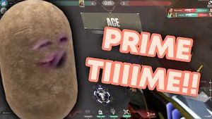 Video post by @artisanpapaya on YouTube