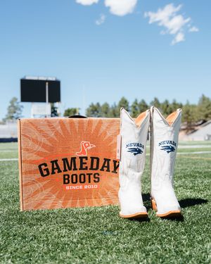 Image post by @nevadawolfpack on Instagram