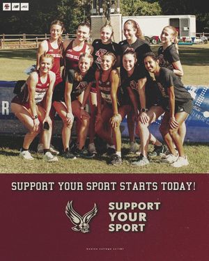 Image post by @bcxc_tf on Instagram