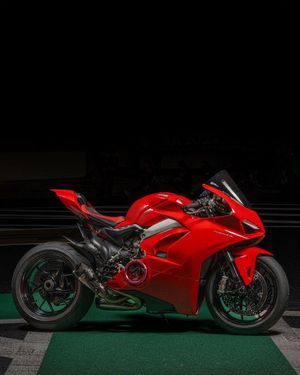 Image post by @panigalers on Instagram