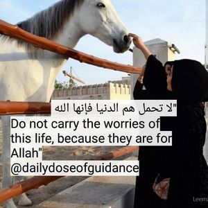 Image post by @dailydoseofguidance on Instagram