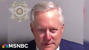 Video post by @msnbc on YouTube