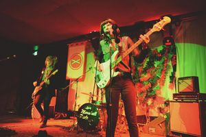 Image post by @treefortfest on Instagram