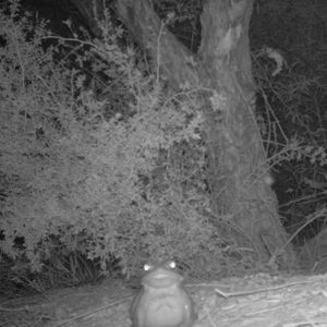 Image post by @nationalparkservice on Instagram