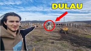 Video post by @moldov4n on YouTube