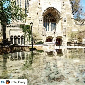 Image post by @yalevolleyball on Instagram