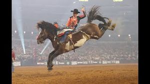 Video post by @pbr on YouTube