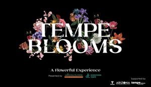 Image post by @downtowntempe on Instagram