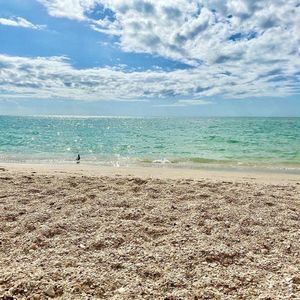Image post by @visitsarasotacounty on Instagram