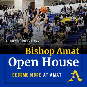 Image post by @amat_basketball on Instagram