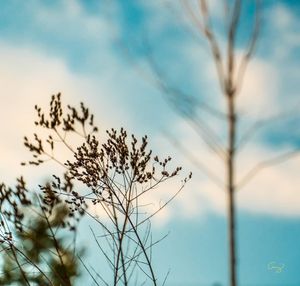 Image post by @amy.kennedy.photos on Instagram