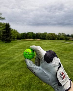 Image post by @wilsongolfcanada on Instagram