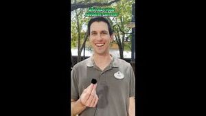 Video post by @waltdisneyimagineering8915 on YouTube