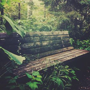 Image post by @glenroy on Instagram