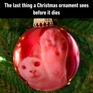 Image post by @9gag on Instagram