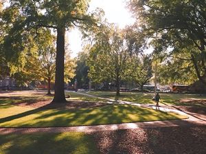 Image post by @uofsc on Instagram