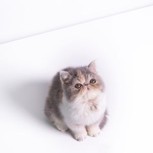 Image post by @yourfuzzy on Instagram