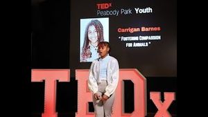Video post by @tedx on YouTube