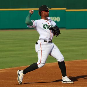 Image post by @gowoodducks on Instagram