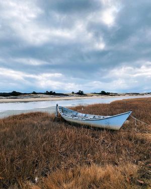 Image post by @themainemag on Instagram