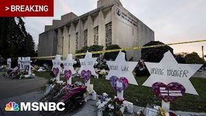 Video post by @msnbc on YouTube