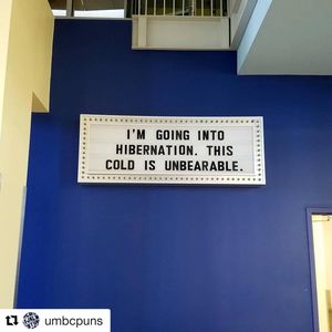 Image post by @umbclife on Instagram
