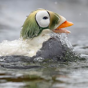 Image post by @natgeo on Instagram