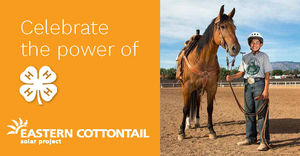 Image post by @EasternCottontailSolar on Facebook