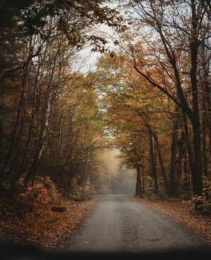 Image post by @themainemag on Instagram