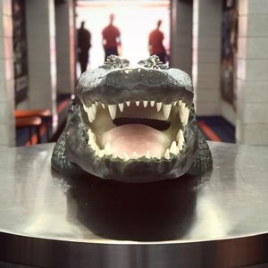 Image post by @floridagators on Instagram