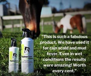 Image post by @equinecareprobiotic on Instagram