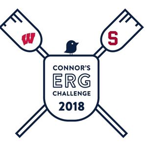 Image post by @badgermrowing on Instagram