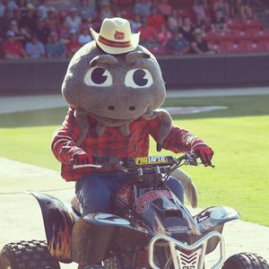 Image post by @carolinamudcats on Instagram