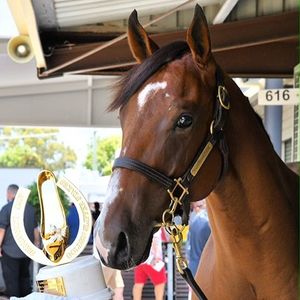 Image post by @australianturfclub on Instagram