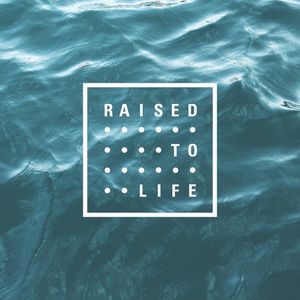 Image post by @bayhopestudents on Instagram