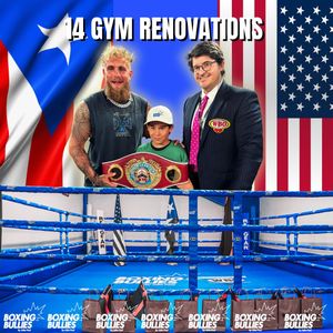 Image post by @boxingbullies on Instagram