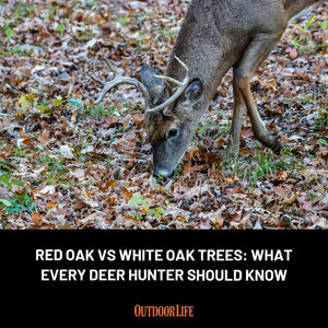 Image post by @outdoor_life on Instagram