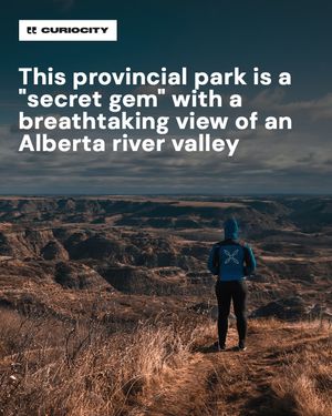 Image post by @curiocitycalgary on Instagram